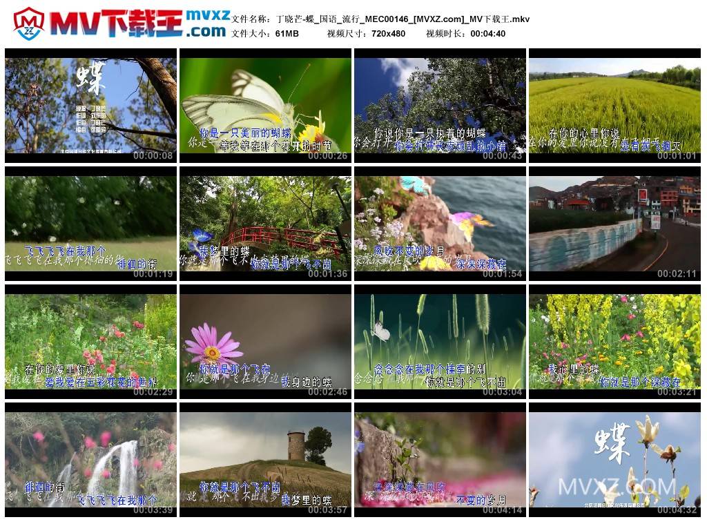 丁晓芒-蝶_国语_流行_MEC00146